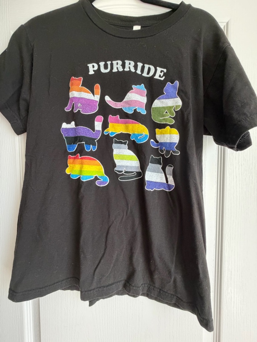 Pride Graphic Tee